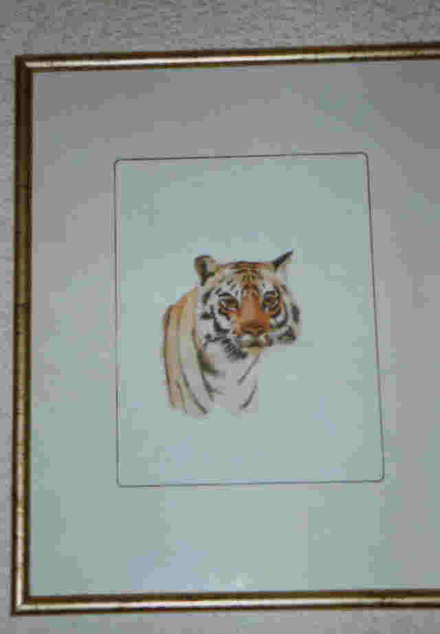 Tiger Aquarell